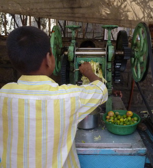 Young boy putting sugar cane stocks into a juicer